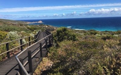 Cape Naturaliste Lighthouse walk trails